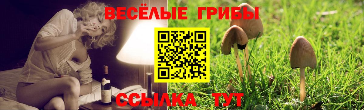 Псилоцибиновые грибы Magic Shrooms  Вход с VPN  Псилоцибиновые грибы Magic Shrooms  Миасс 